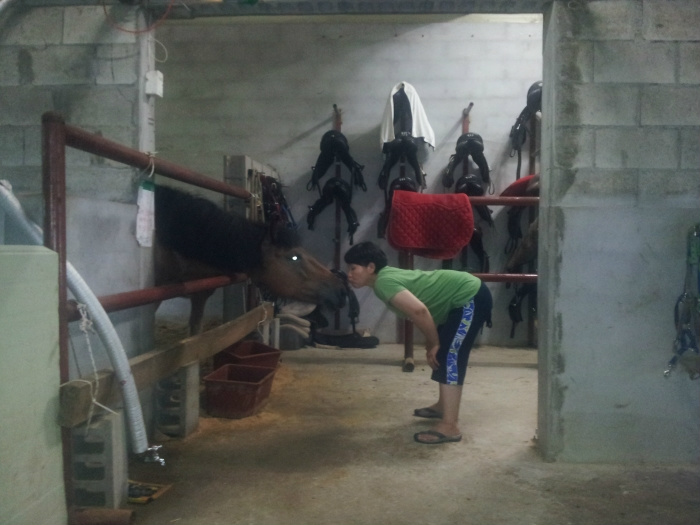 20110714223116726180.jpg