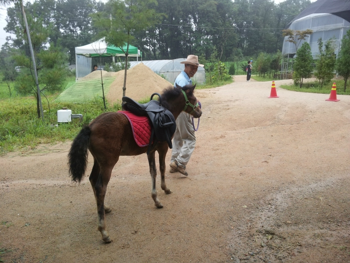 20110816215245748162.jpg