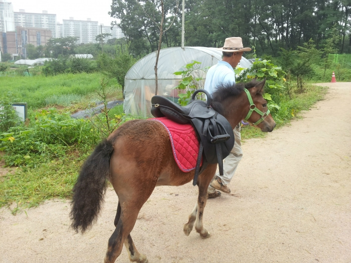 20110816215248421396.jpg