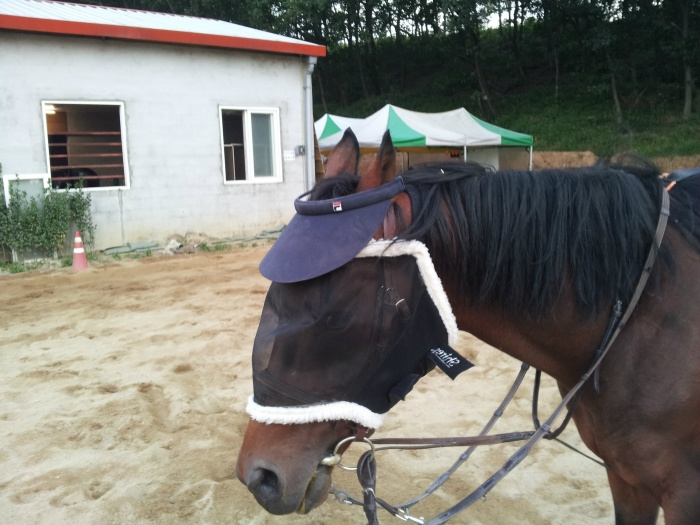20110923224617602625.jpg