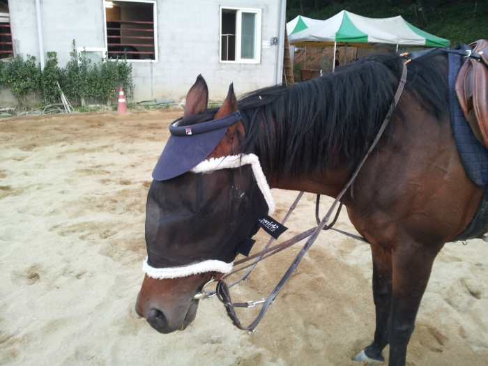 20110923224714591626.jpg