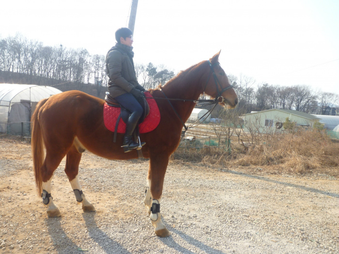 20120220222254167279.jpg
