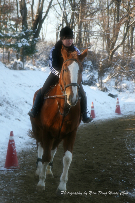 20130119120421114044.jpg