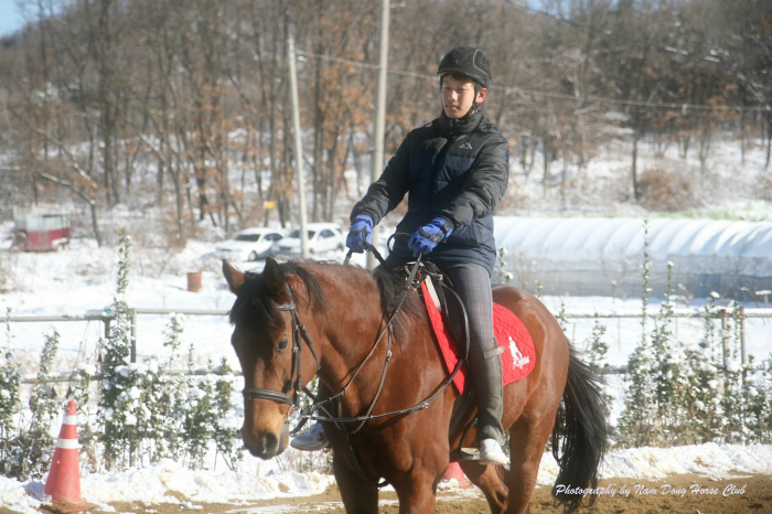 20130119120428129635.jpg