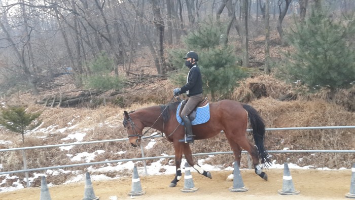 20140107_095119.jpg