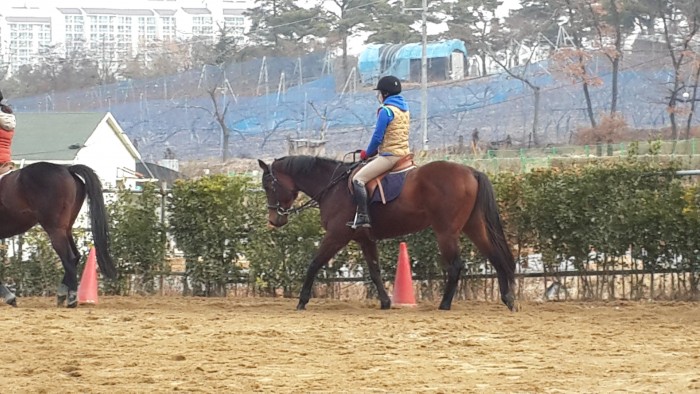 20150122_094944.jpg