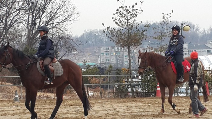 20150129_093737.jpg