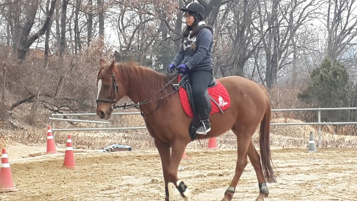 20150129_093745.jpg
