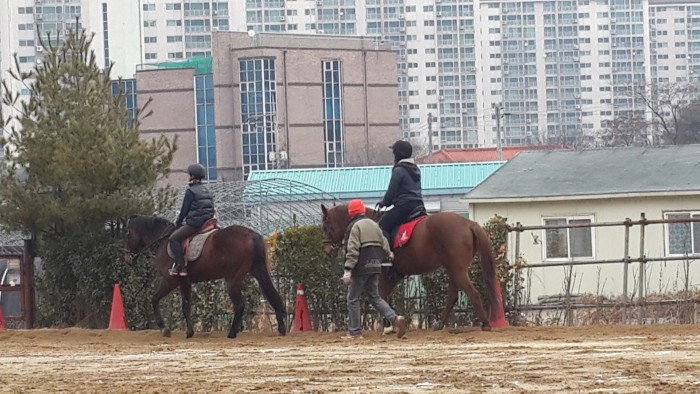 20150129_093832.jpg