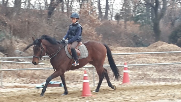 20150129_094630.jpg