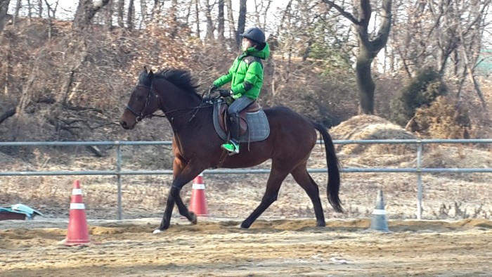 20150131_144600.jpg