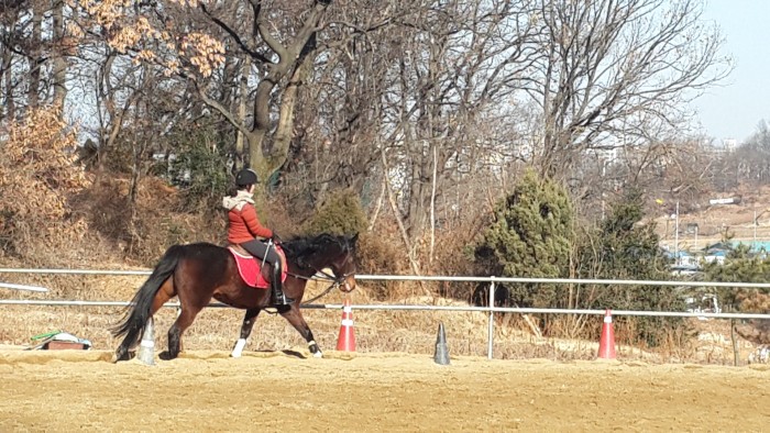 20150212_095108.jpg