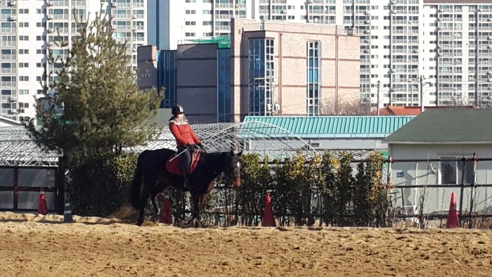 20150212_095114.jpg