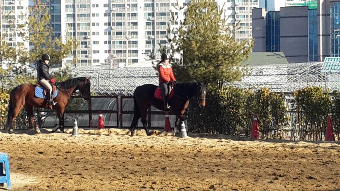 20150213_090631.jpg