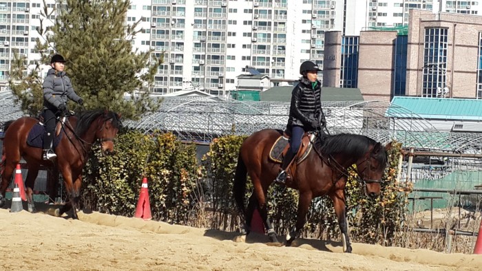 20150213_120119.jpg