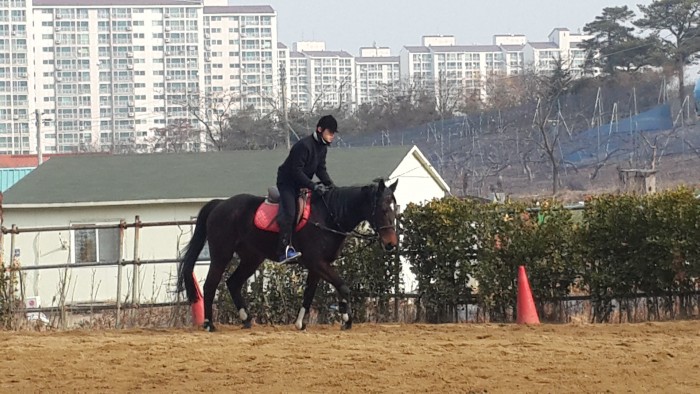 20150215_110040.jpg