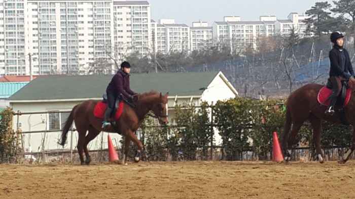 20150215_110044.jpg