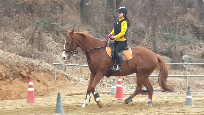20150215_154419.jpg