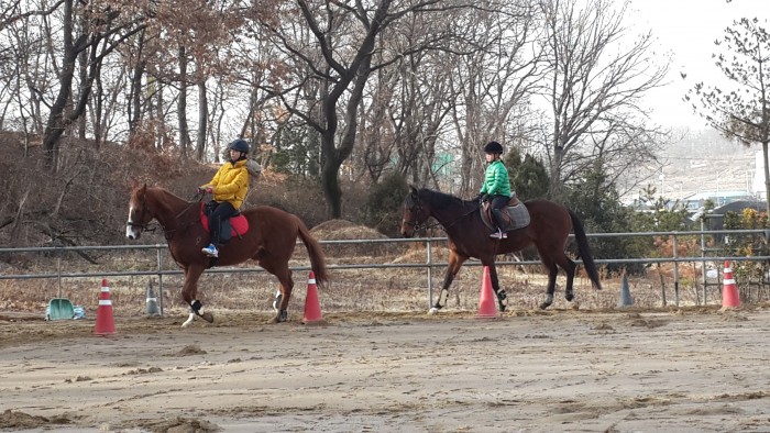 20150222_155306.jpg