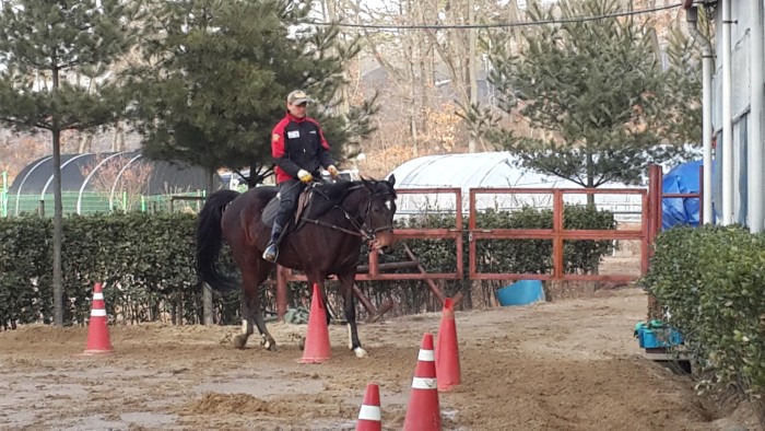 20150222_165437.jpg