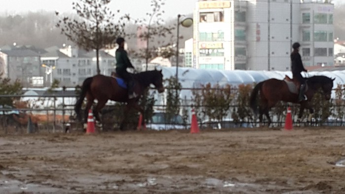 20150222_165502.jpg
