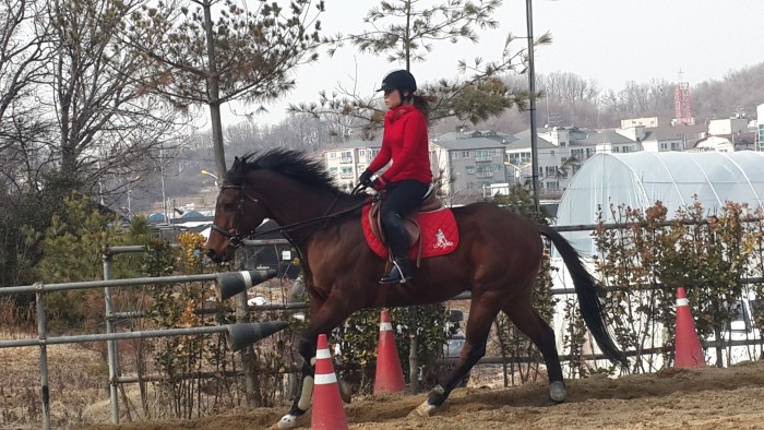 20150225_144904.jpg