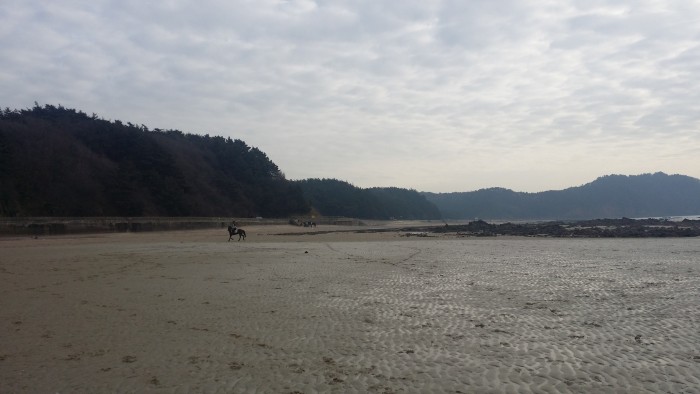 20150225_162110.jpg