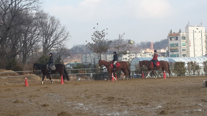 20150226_094257.jpg