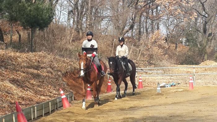 20150226_104953.jpg