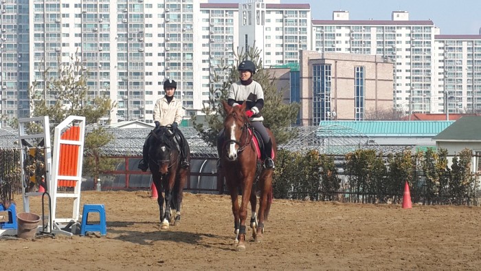 20150226_105029.jpg