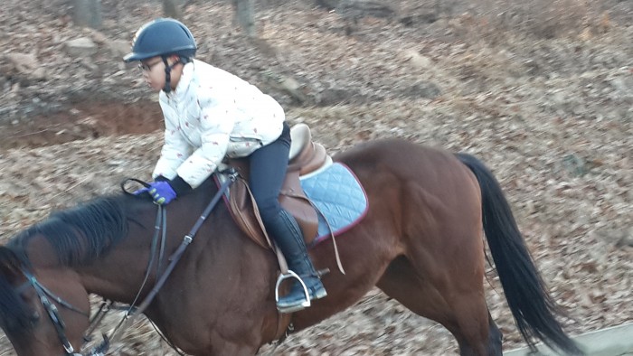 20150226_164518.jpg