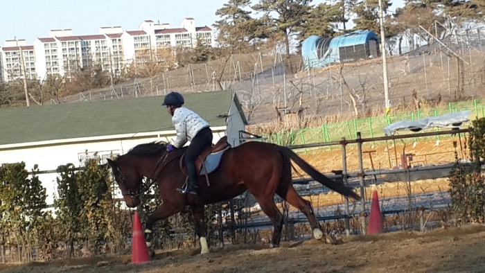 20150226_164532.jpg