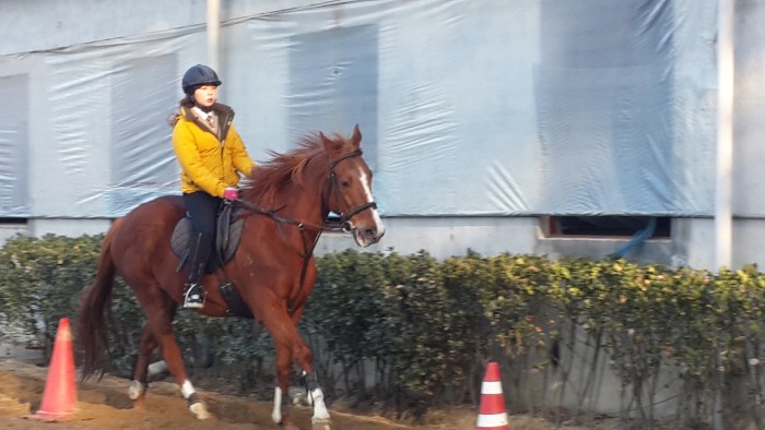 20150226_165202.jpg