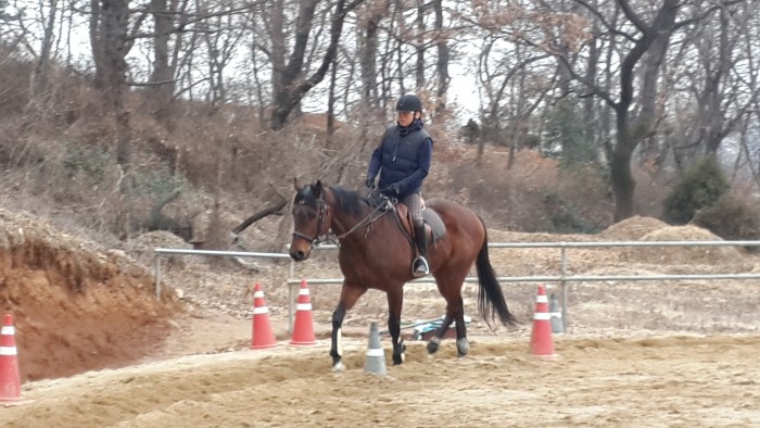 20150228_164511.jpg