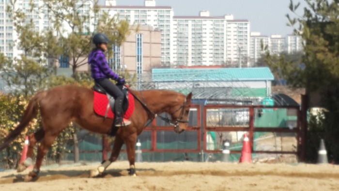20150307_115948.jpg