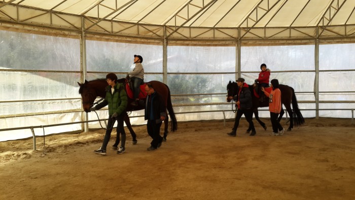 20150313_110841.jpg