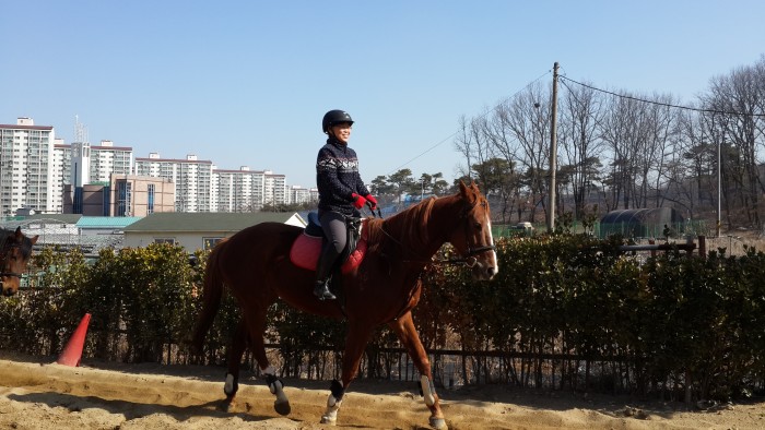 20150314_102706.jpg