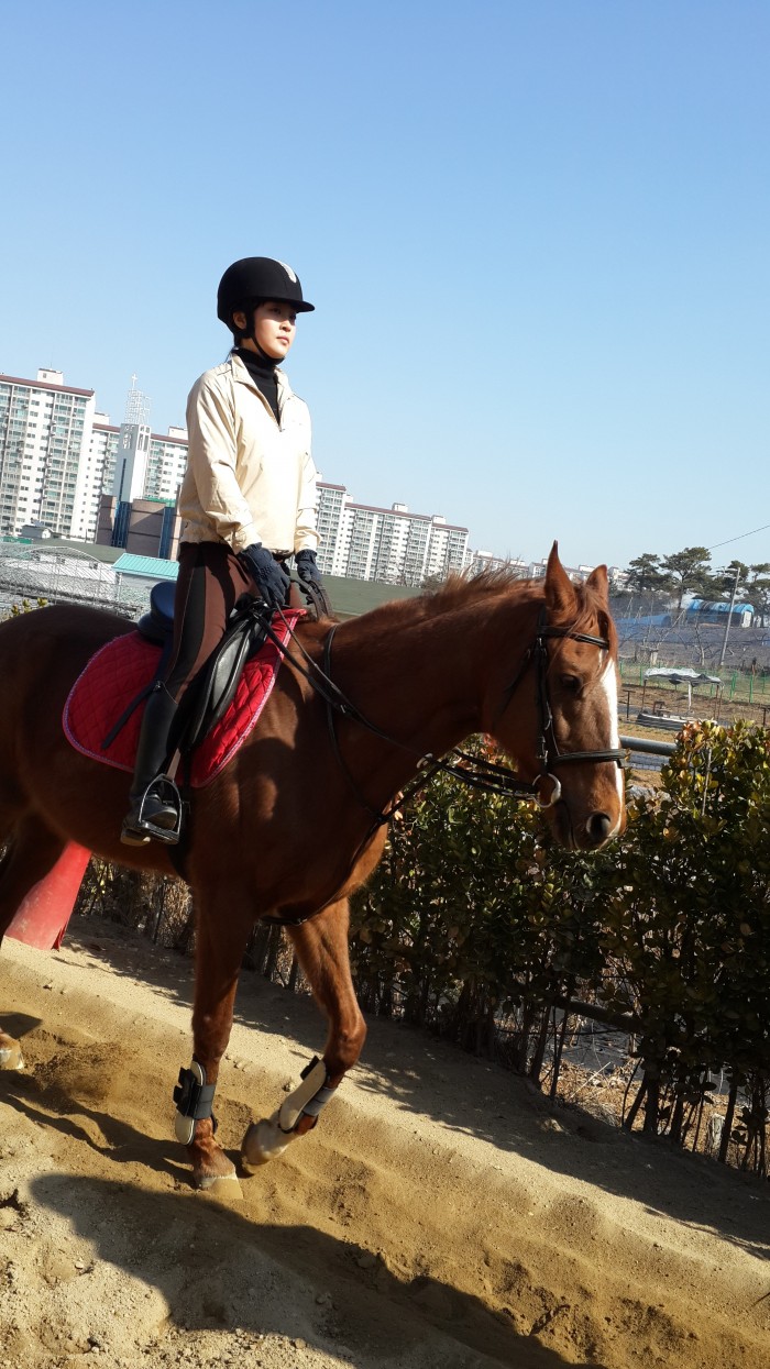 20150314_102754.jpg