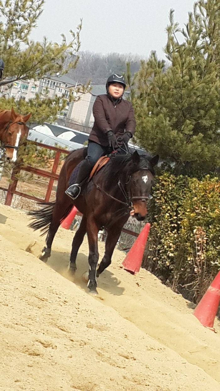 20150315_114325.jpg