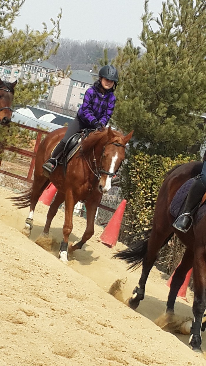 20150315_114327.jpg