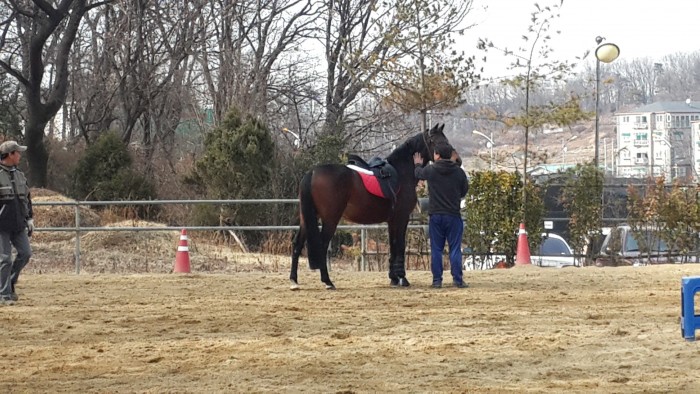 20150315_150051.jpg
