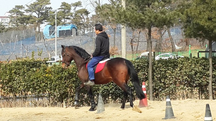 20150315_150304.jpg