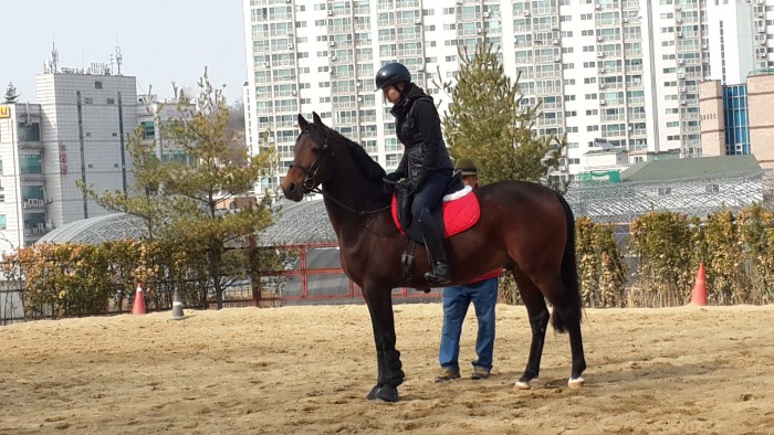 20150315_151205.jpg