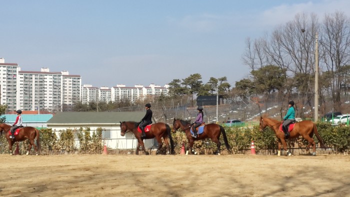 20150328_143634.jpg