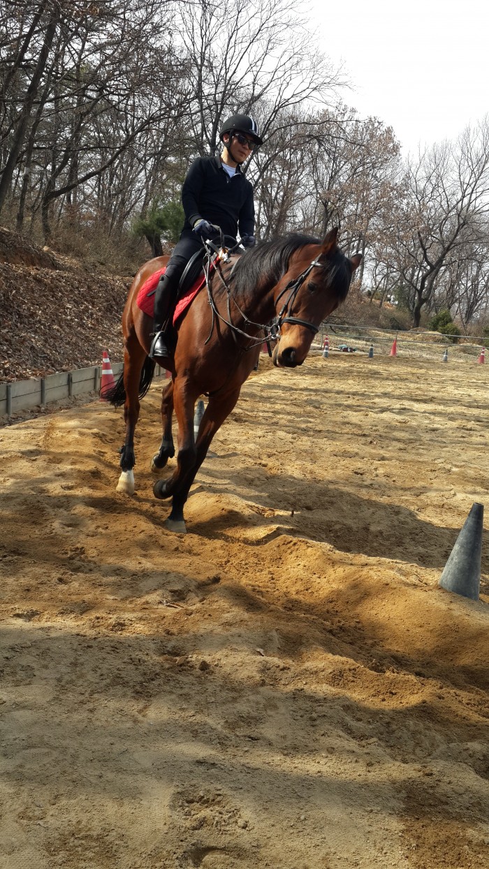 20150328_145003.jpg