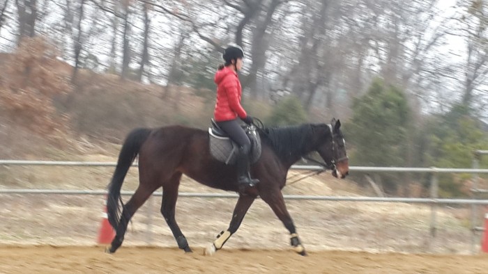 20150329_092437.jpg