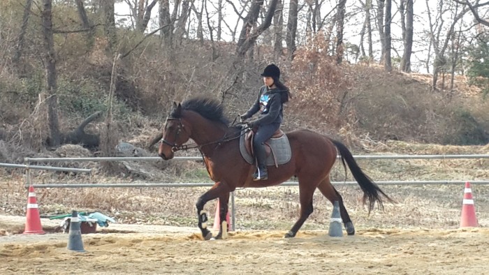 20150329_153812.jpg