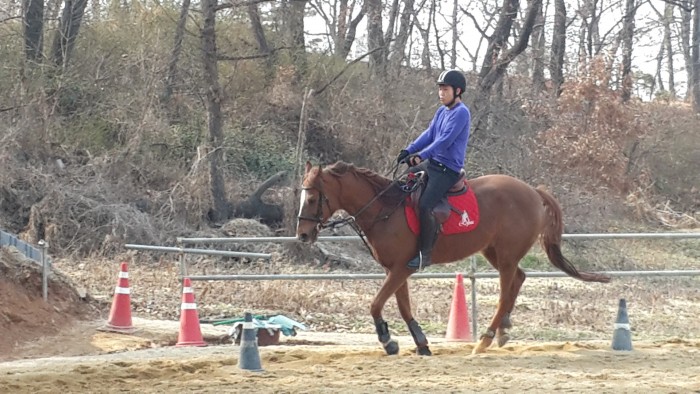 20150329_153815.jpg