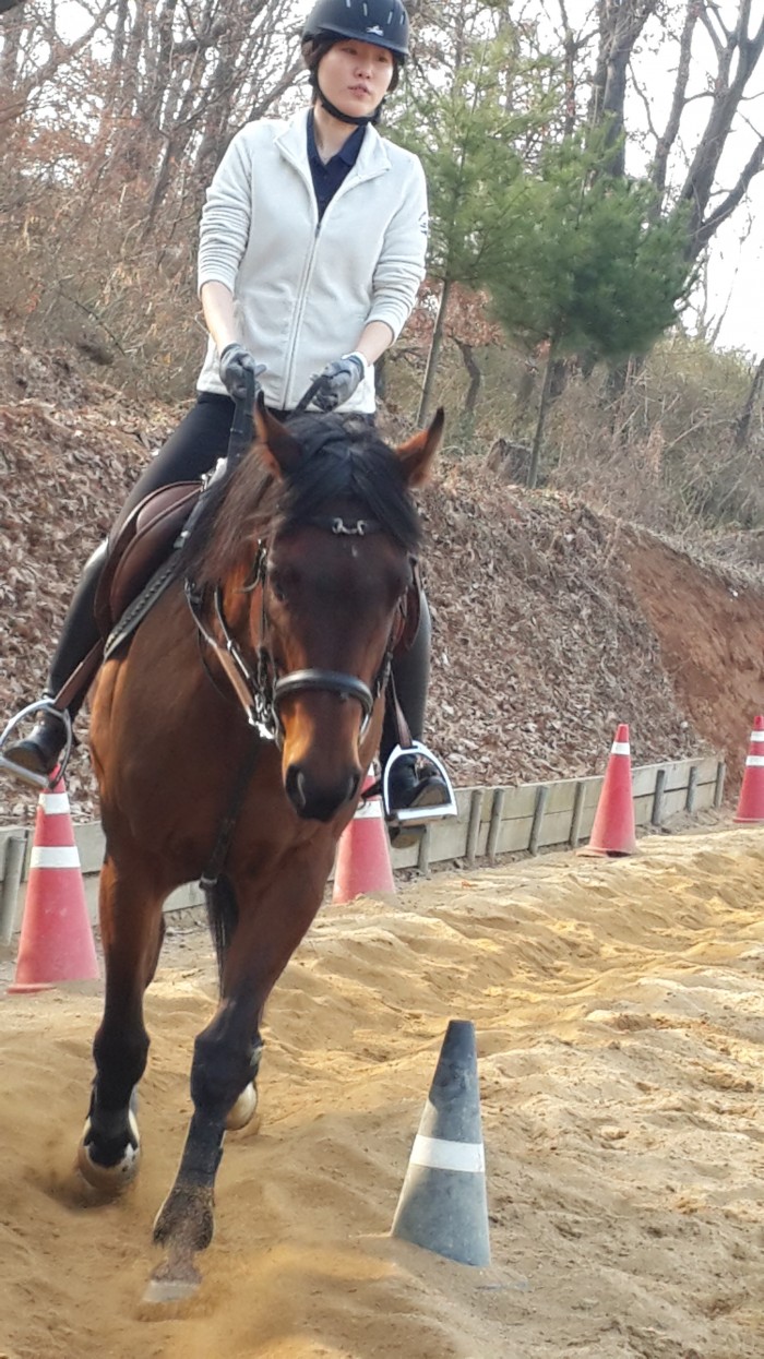 20150329_161831.jpg
