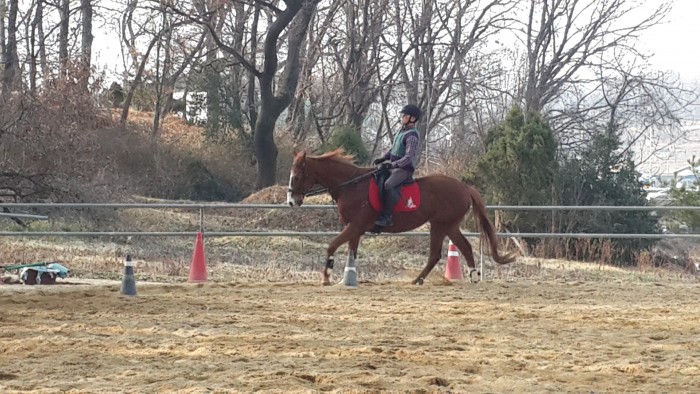 20150329_162430.jpg